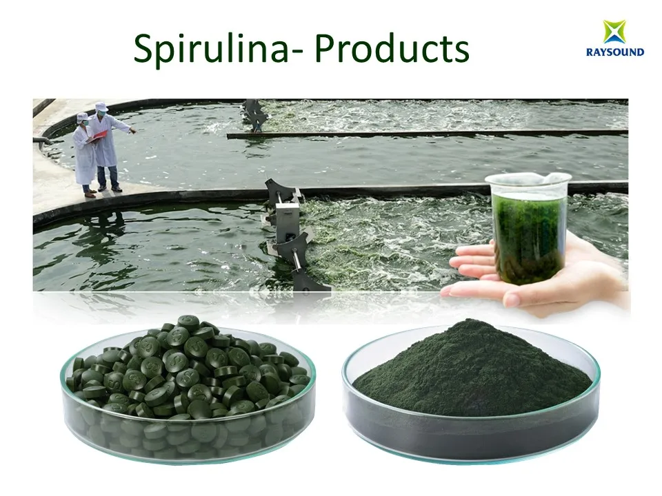 Pure spirulina Extract powder & tablet for food