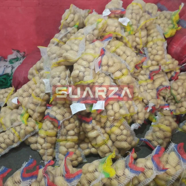 Fresh Potato New Crop Wholesale Price white mozika long shape potato supplier from Pakistan at low prices