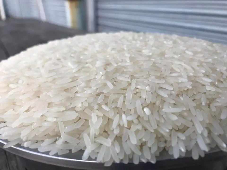 Factory  Pure White Crystal Garlic Rice Manufacturing Company Premium  Vietnam export products rice