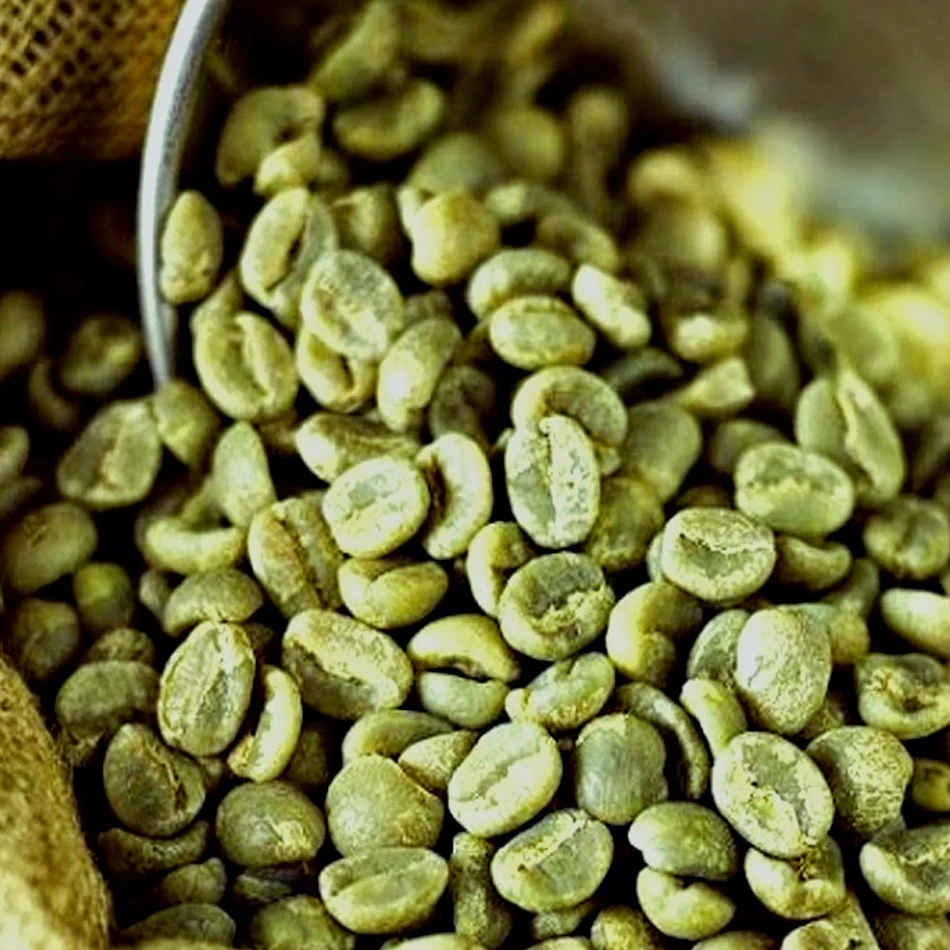  Самый продаваемый кофе Лучший в мире КОФЕ robusta