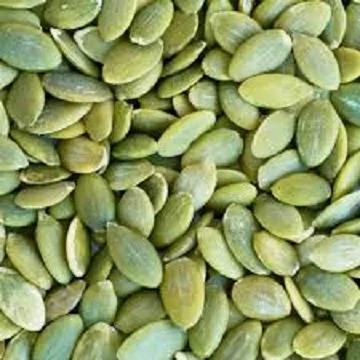 
High Quality Pumpkin Seed 