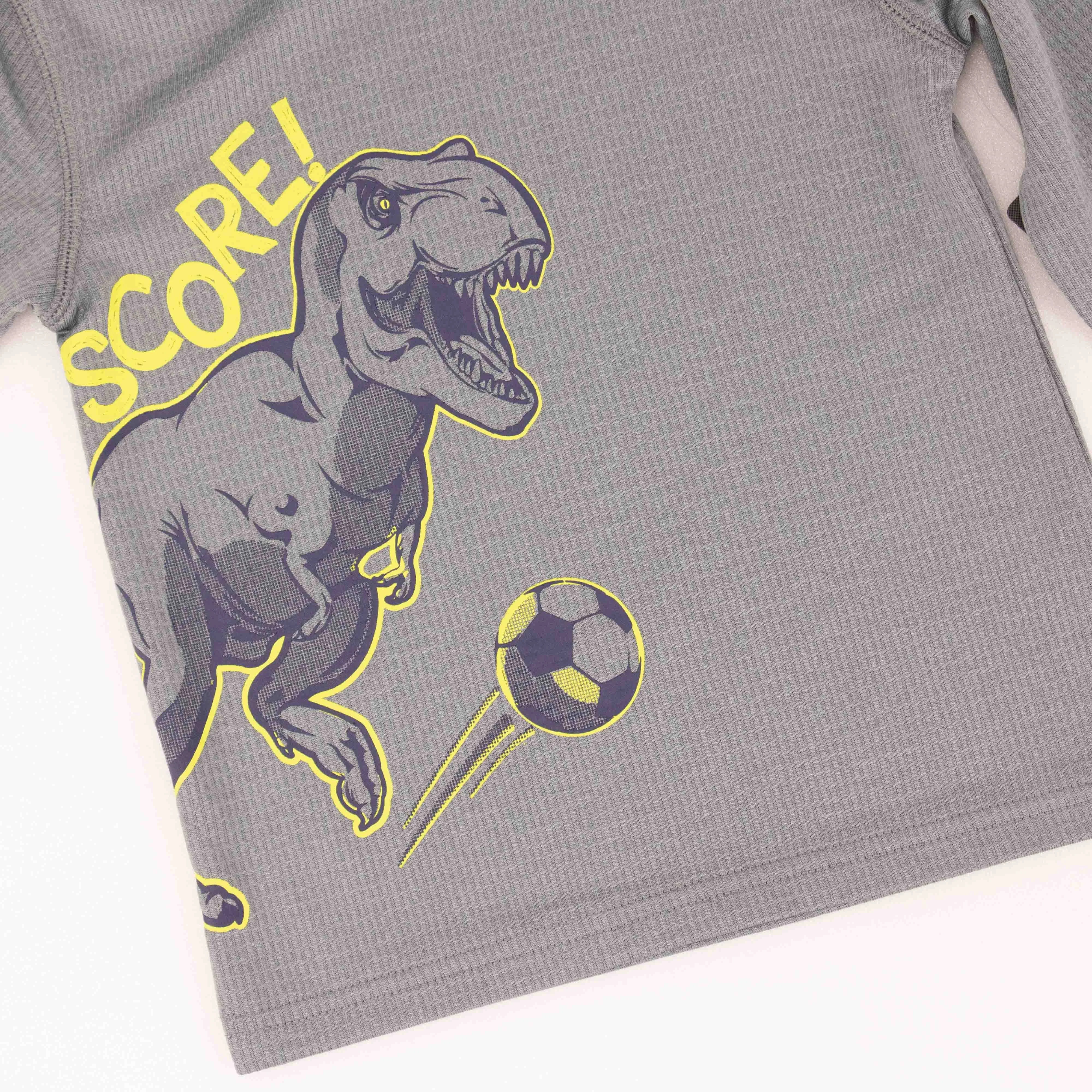 2020 Fall Baby Dinosaur Hoodie Shirts Pants Kids Sets Gray Outfit Children toddler Active Wear Print Clothes Boy