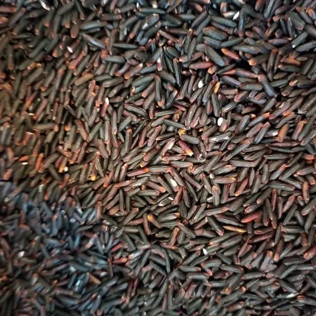 Фиолетовый травяной рис/питательный и витамин Richy черный рис 3% сломанный 14.5% влаги для продажи оптом/вьетнамский фиолетовый