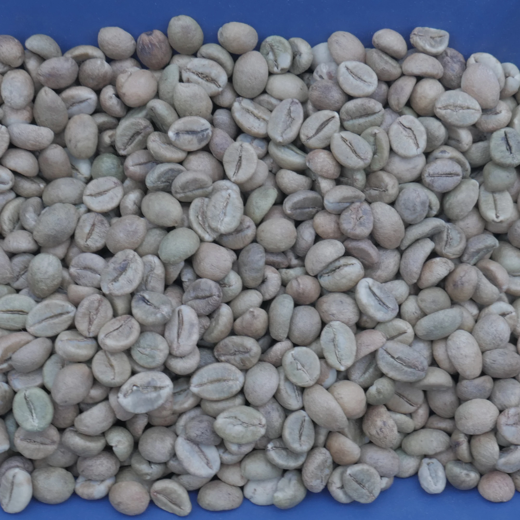 
EthioCo GmbH (Ltd) - Indian Robusta Cherry A Fair Coffee 