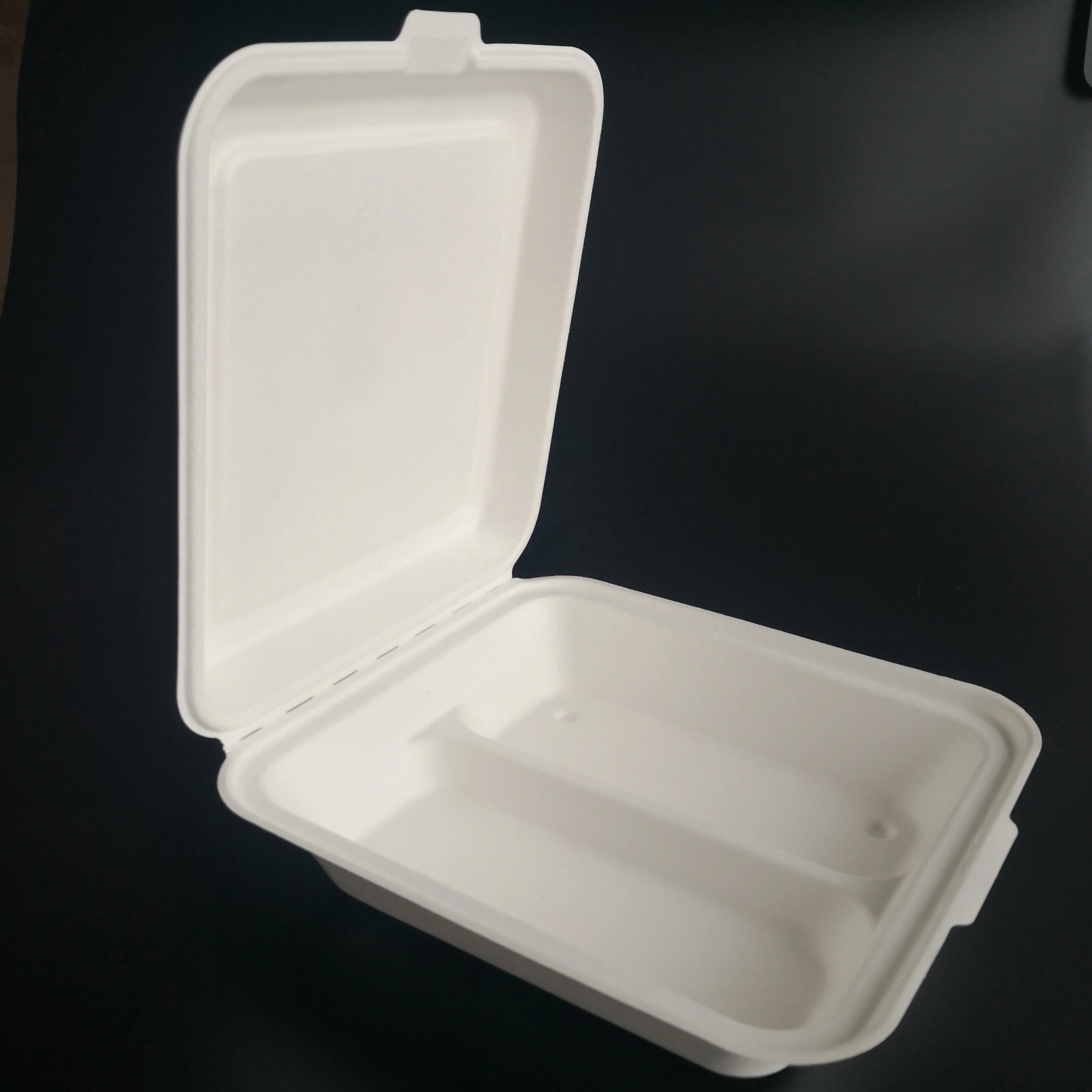 8Inch Sugarcane 2 Compartment Disposable Lunch Box With Compartment And Bagasse Single Compartment Food Container With Lid