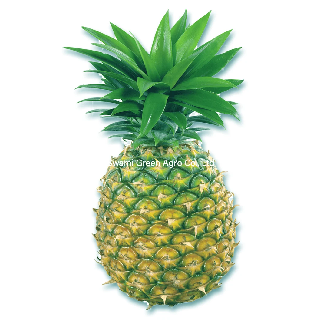 
Pineapple 