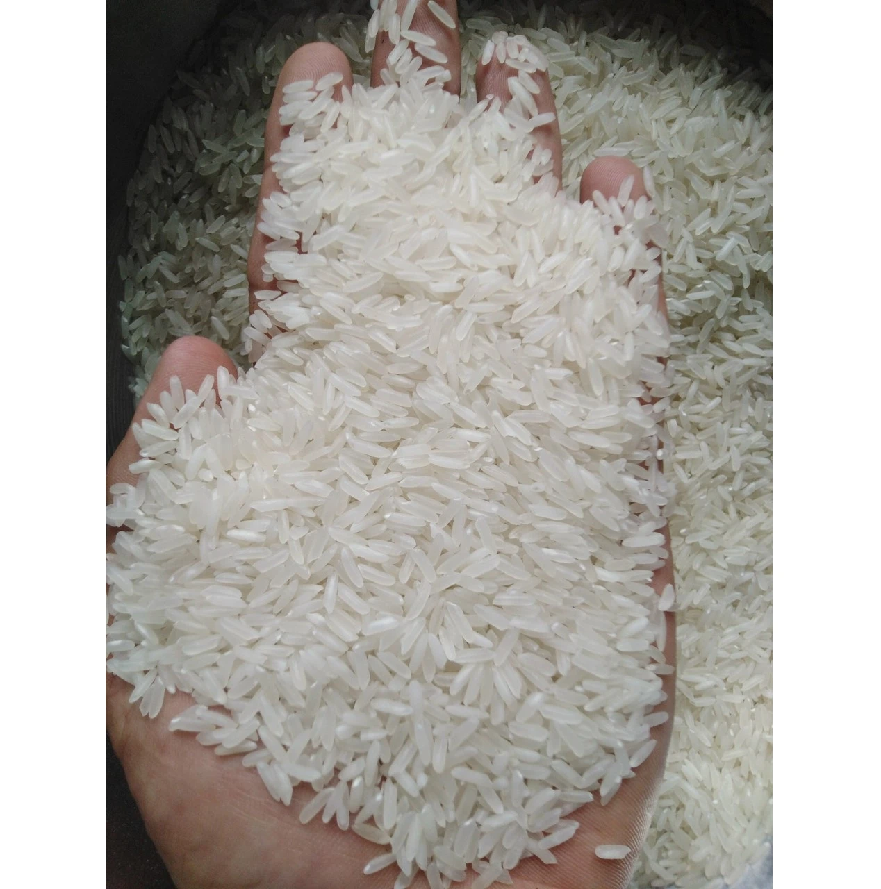 Best Selling Made in Viet Nam Jasmine Rice 5% Broken with Soft Texture and Perfume Sweet Kind 100% Natural