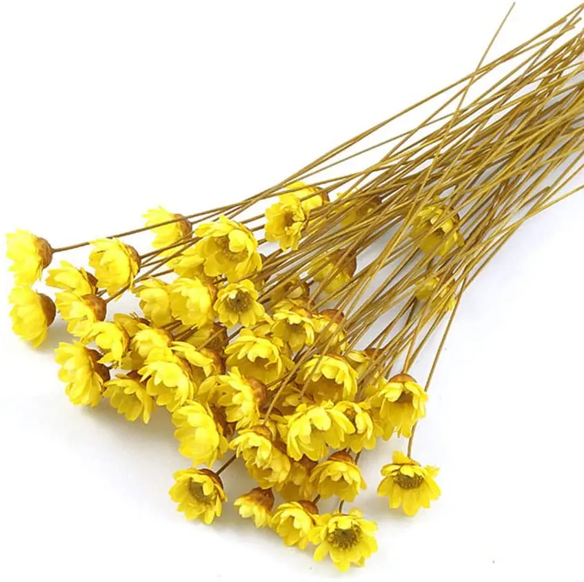 Натуральный сушеный Цветочный чай с маргаритками-цветочный хризантемой-травяной цветами. Золотые данные MS.SANDY (+ 84 587 176 063) 99