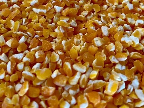 Yellow Corn Grits for animal feed 2021 hot selling