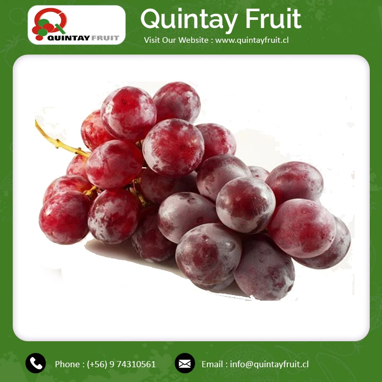 Discount Offer On Fresh Fruit Natural Sweet Red Grapes Red Globe Seeded Grapes Buy At Best Price
