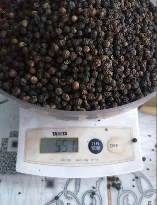 Pepper 2022 from Vietnam Pepper Black Spicy Single Herbs & Spices Dried Raw Allspice 5000 Kg Round with 2-3 Year Shelf Life