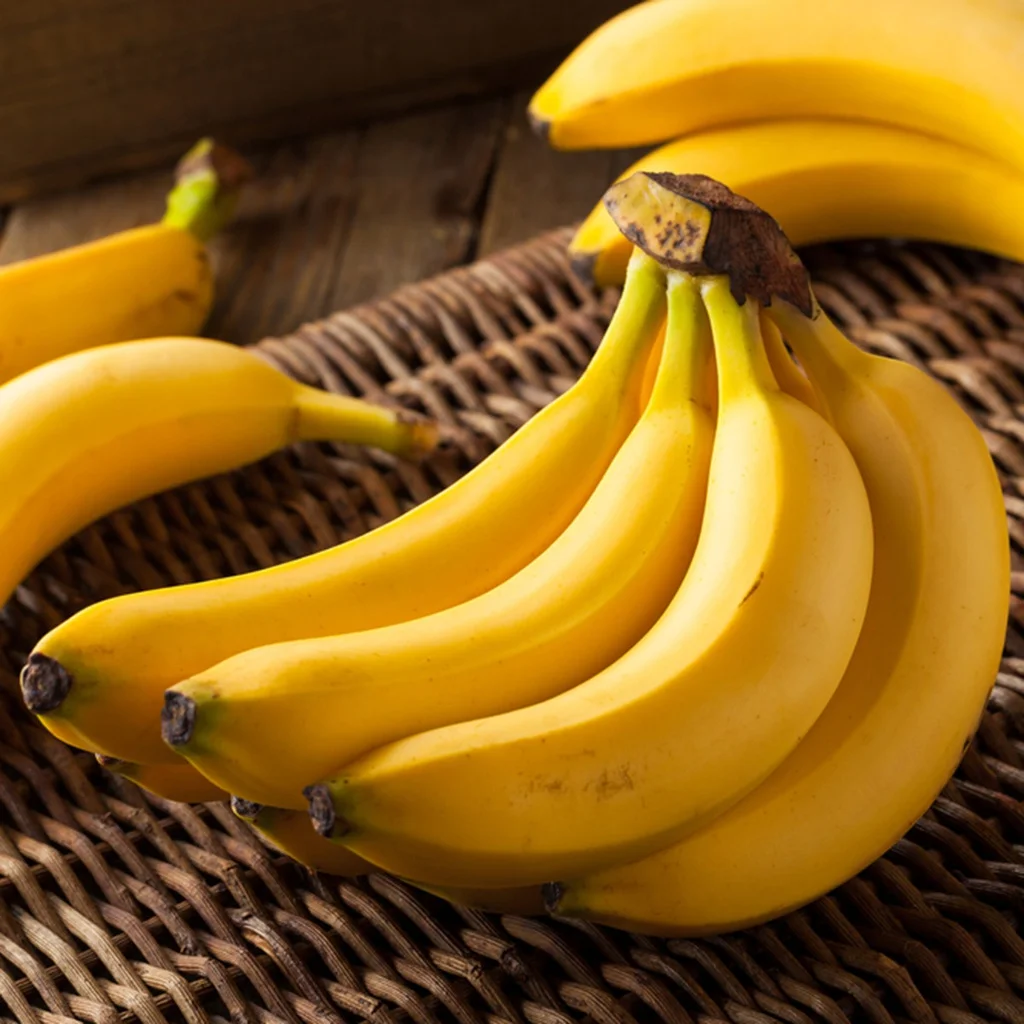 Fresh Cavendish Banana Exporters Worldwide