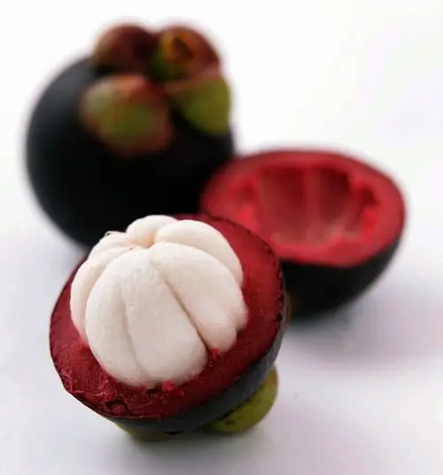
MANGOSTEEN Fruit WITH AFFORDABLE PRICE 2021 