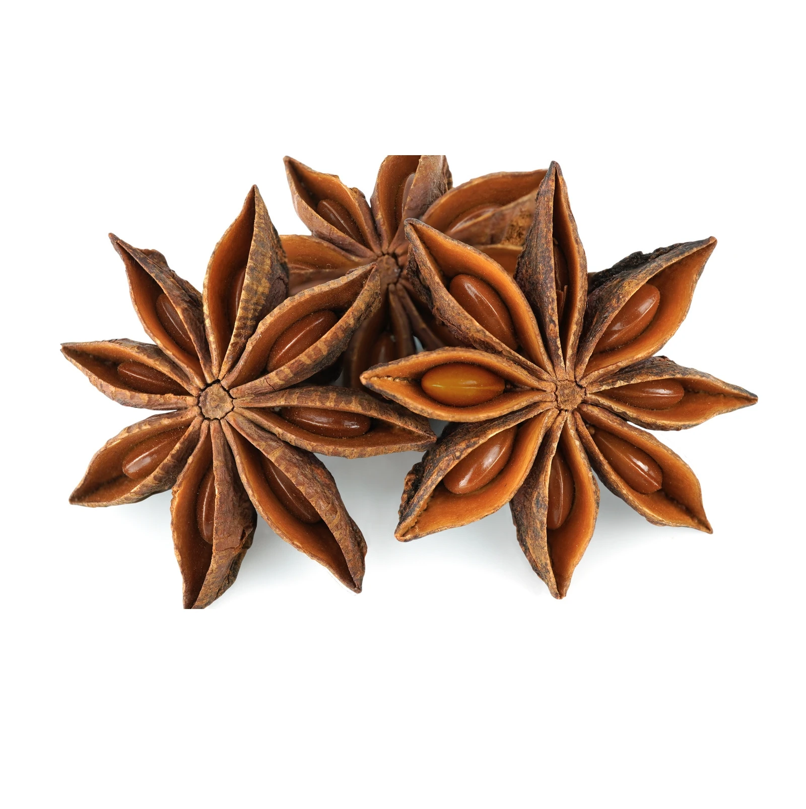 2021 Wholesale Viet Nam Factory Supplier Natural star anise Best Quality For Seasoning Harmless Healthy for SALE