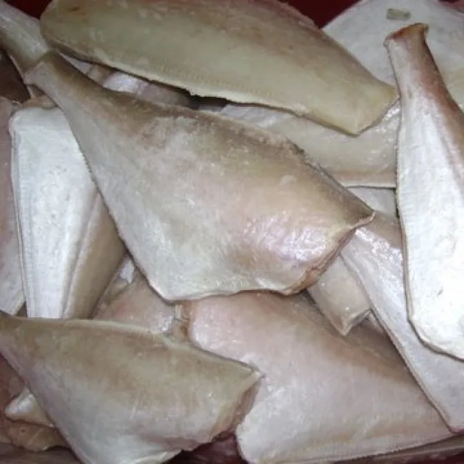 
High quality wholesale leatherjacket fish 