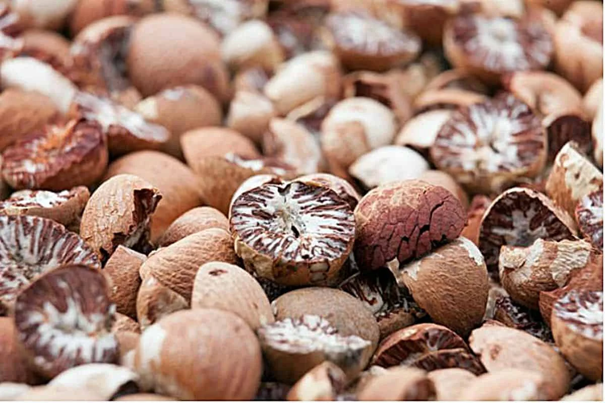 Лучший поставщик лидер продаж 2021 заводская цена орехи Betel/орехи Areca новый сезон сделано во