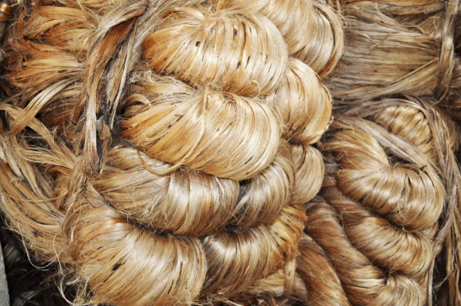 Exportable Sustainable Moisture 100% Natural Raw Jute Best Quality & Low Price 100% Natural Raw Jute Top Selling