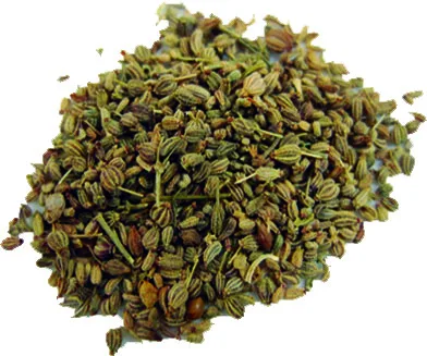 Carom Seeds SINGLE HERBS & SPICE ISO HIGH QUALITY AJWAIN SEED