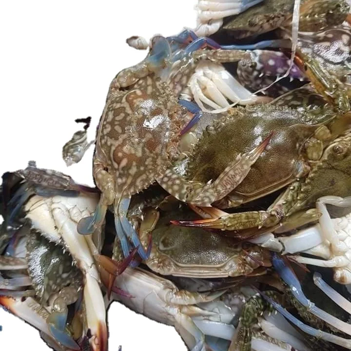 High Quality Seafood Fresh Water Cooked Whole Frozen Spicy Crawfish Lobster