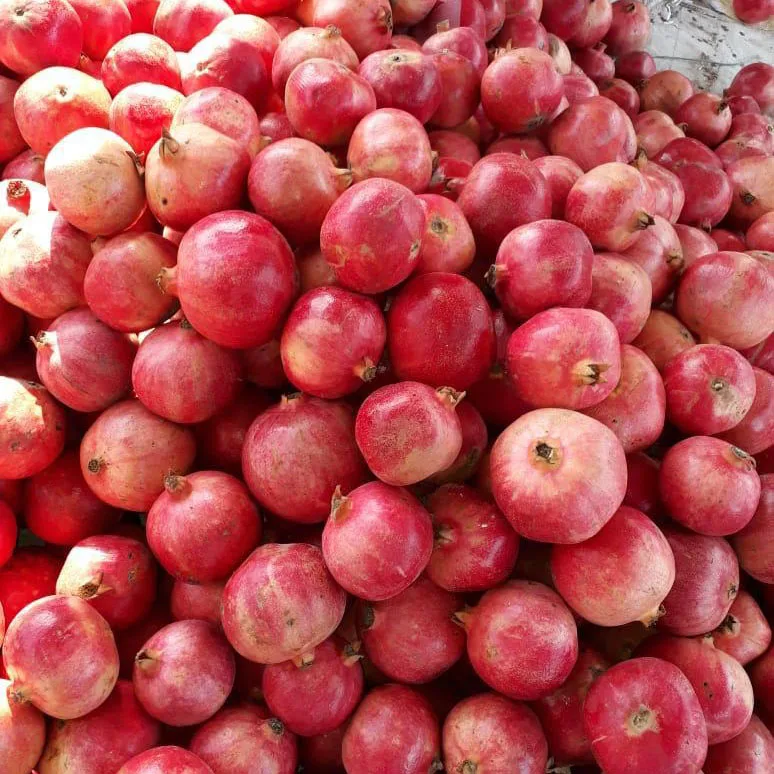 Wholesale price of Natural fresh Pomegranate