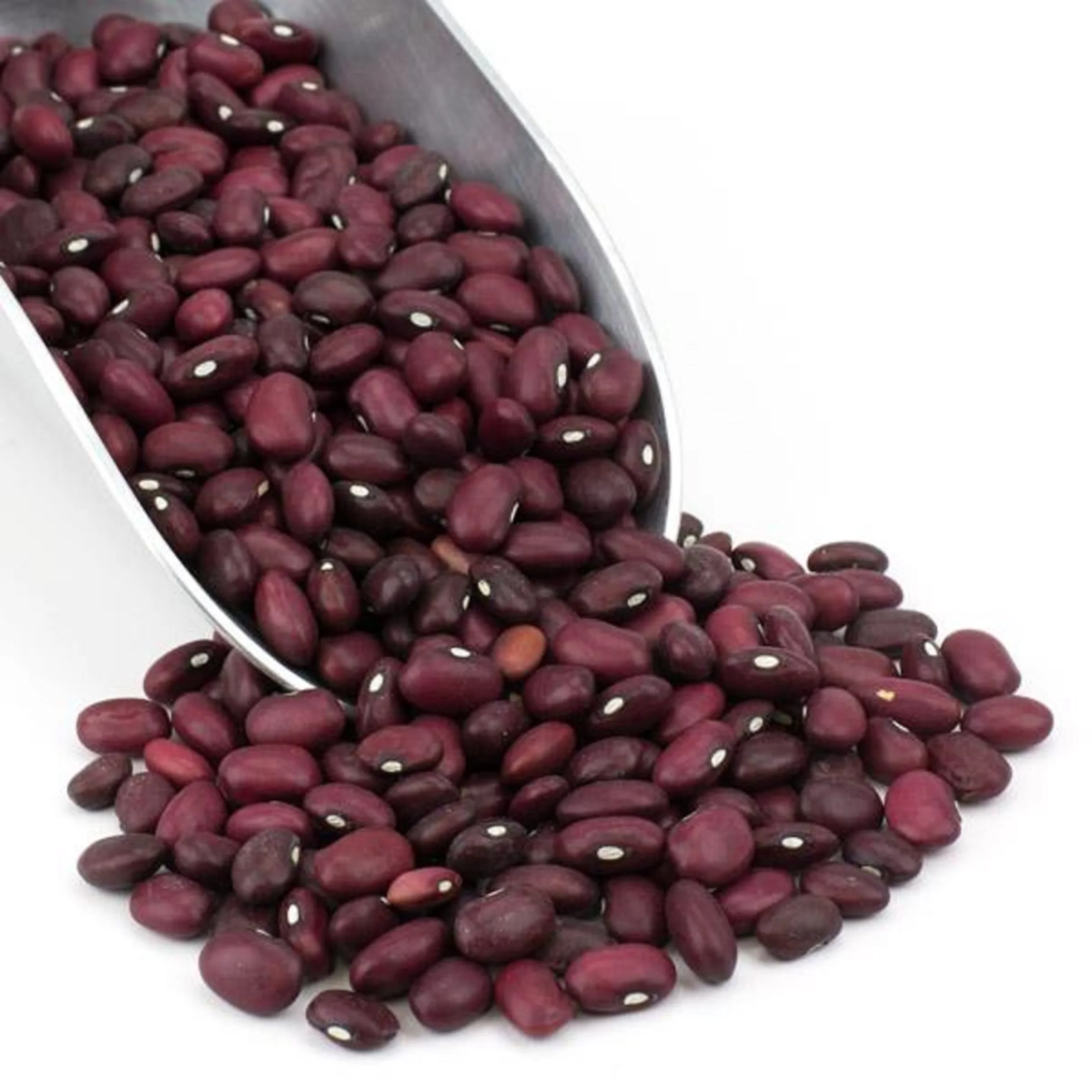 High Quality Natural Organic and Wholesale Long Red Kidney Beans