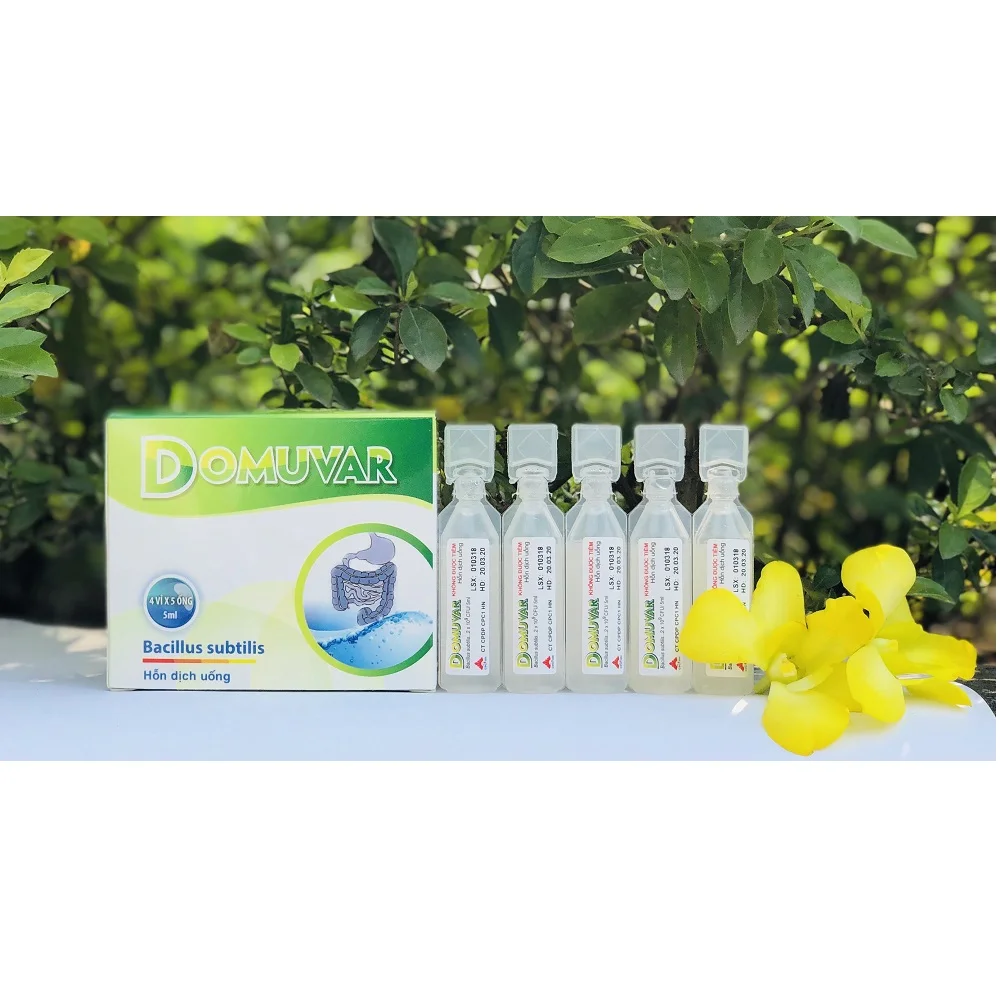 
Oral Liquid for Diarrhear human Health supplement Best price Sterile BFS technology Bacillus Subtilis Domuvar Probiotic 