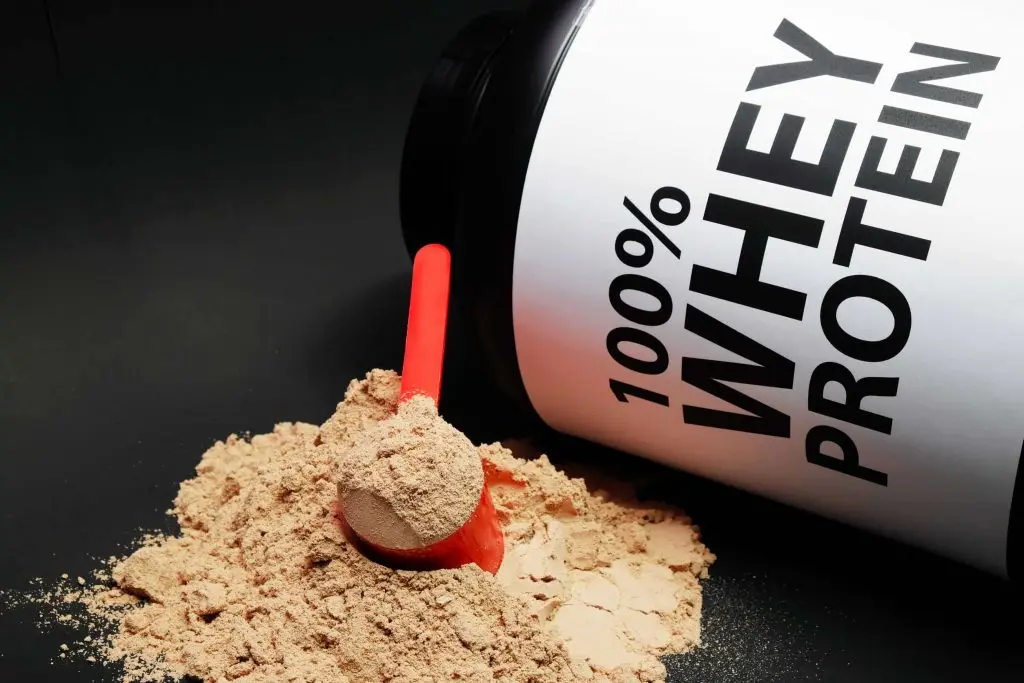 
Hot sales organic protein whey protein powder protein supplements 