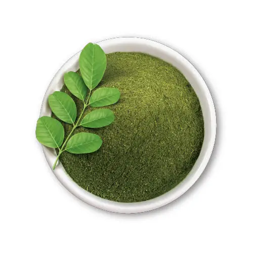 Indian Manufacturer of Best Sell Moringa Powder Moringa Leaf Powder At Reasonable Price