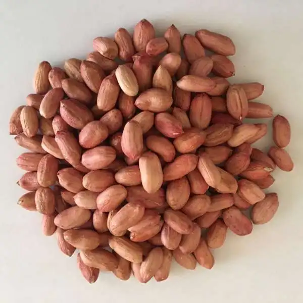 Raw Kernel Peanuts Wholesale Supplier of Raw Peanuts at Best Market Price