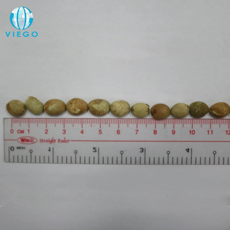 Экспорт самые дешевые вьетнамские зеленые кофейные зерна Robusta класс 1/AA экран 18 стандарт
