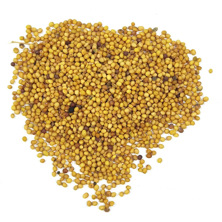 Organic pure mustard seeds pre-packed big bags, from manufacturer
