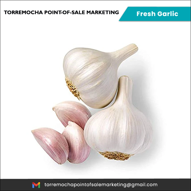 Healthy Natural New Crop Pure Natural Organic Fresh Philippines White Garlic at Least Price