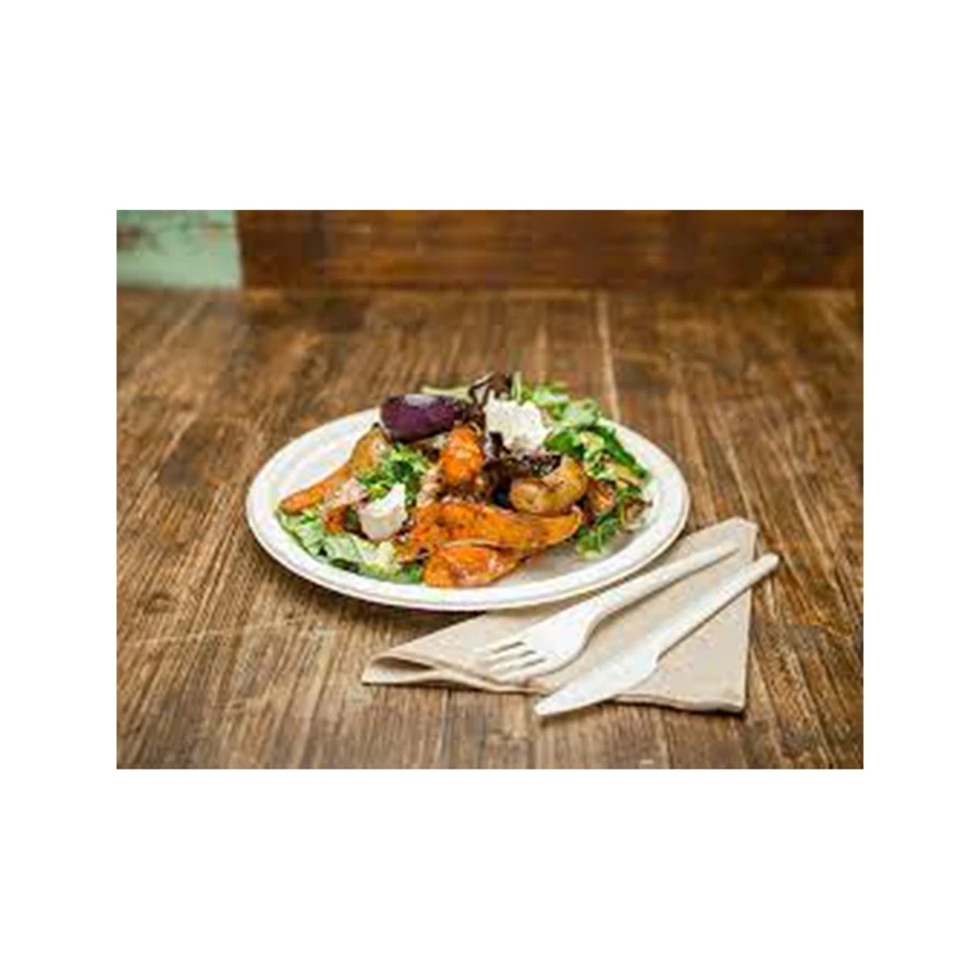 Eco Friendly Disposable Plates Eco Friendly Disposable Plates Wholesale Cheap Price Biodegradable Sugarcane Plates