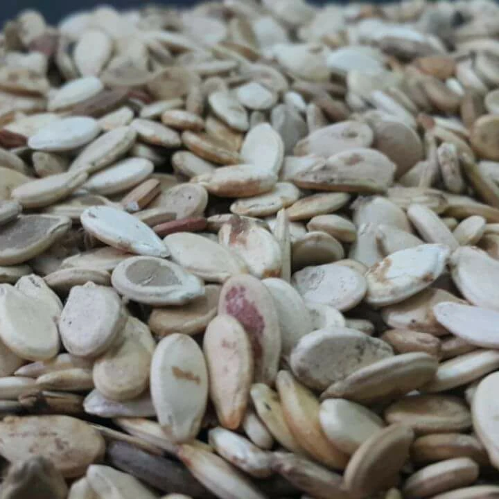 Water Melon Seed Kernal
