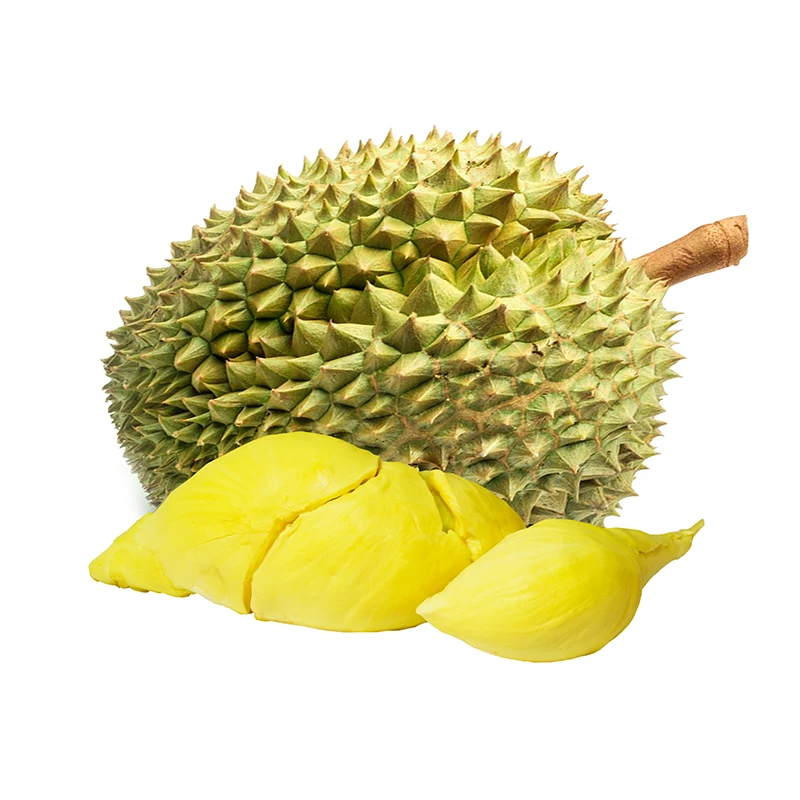 Wholesale Vietnam Fresh Durian/Best Price - High Quality