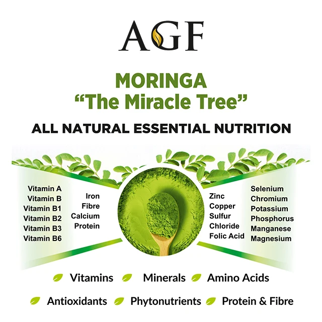 Premium Quality Indian Origin Moringa Leaf Powder Manufacturer Bulk Organic Moringa Oleifera Powder Best and Cheap Price