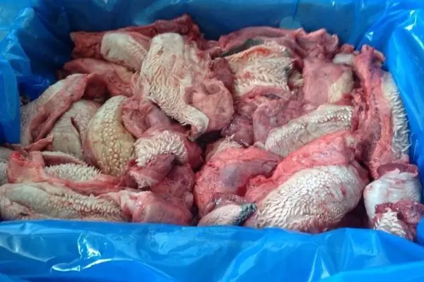 Органическая говядина, губы, свежая обработка, замороженные говядины, губы, происхождение, черная говядина