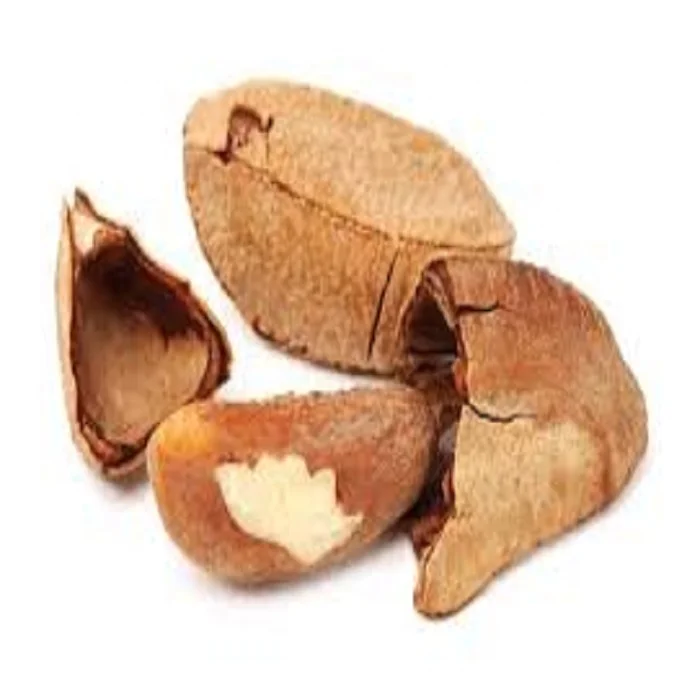 Необработанные Бразильские орехи премиум-класса по низкой цене