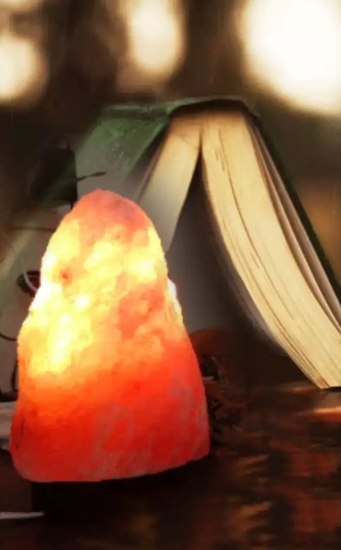 Hot Selling  Quality Natural Pink Himalaya Salts LampsNatural  Himalayan Pink Salts Lamps Natural  In Wholesale Price