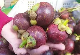 Top quality mangosteen in Vietnam/ Whatsapp : +84 896679047