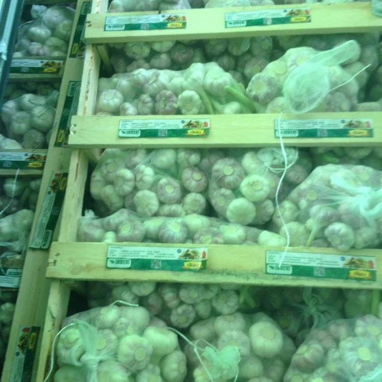 dry white & Purple  Garlic for export 2019