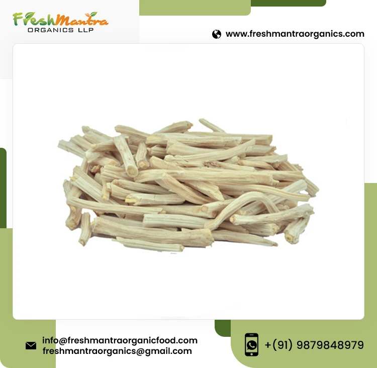 100% Natural Shatavari Powder Extract Shatavari Root Powder For Stronger Immune System Supplier