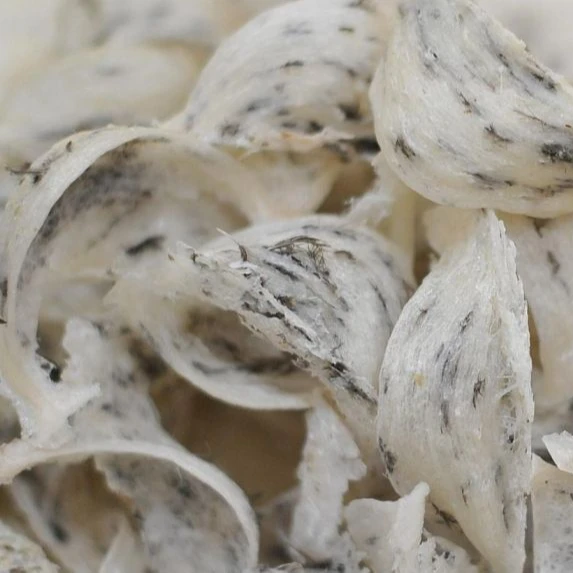 (Mr Nam Bu)-Vietnam Raw/ Refined Bird Nest 100% Pure , Broken Nest Good for Health - Vietnam 100% Pure Beautiful Raw Bird Nest -