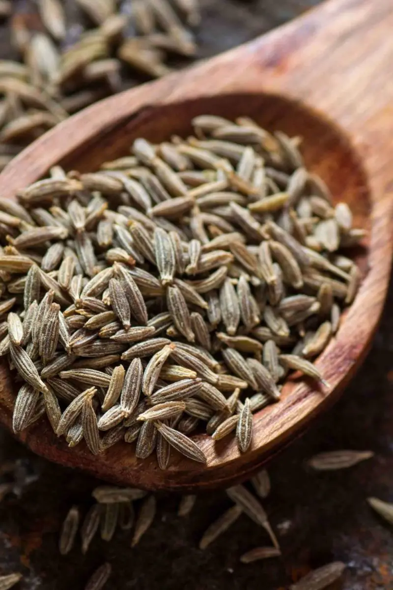 Cumin Seed High Quality Single Spices Cumin Seed And Fennel Seeds Mixed Spices Seasonings from Indian exporter