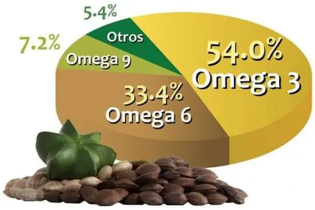 Лучшая цена на масло SACHA INCHI OMEGA 3 6 9 + Axel 84 38 776 0892