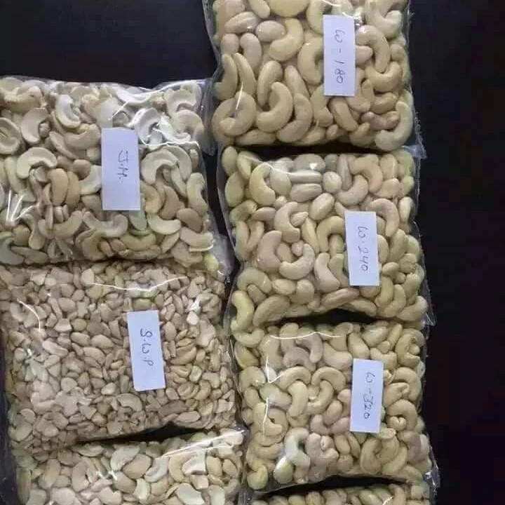 
Buy Cashew Nuts High Quality for Export in Thailand 