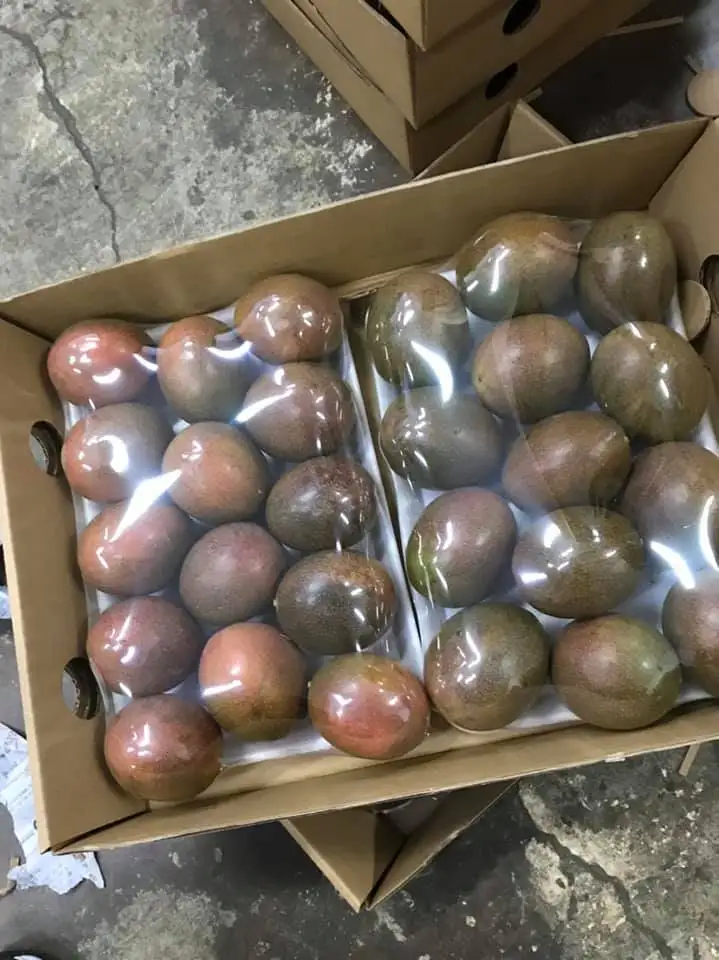 Высококачественный концентрат страсти без семян в бутылке оптовая продажа +