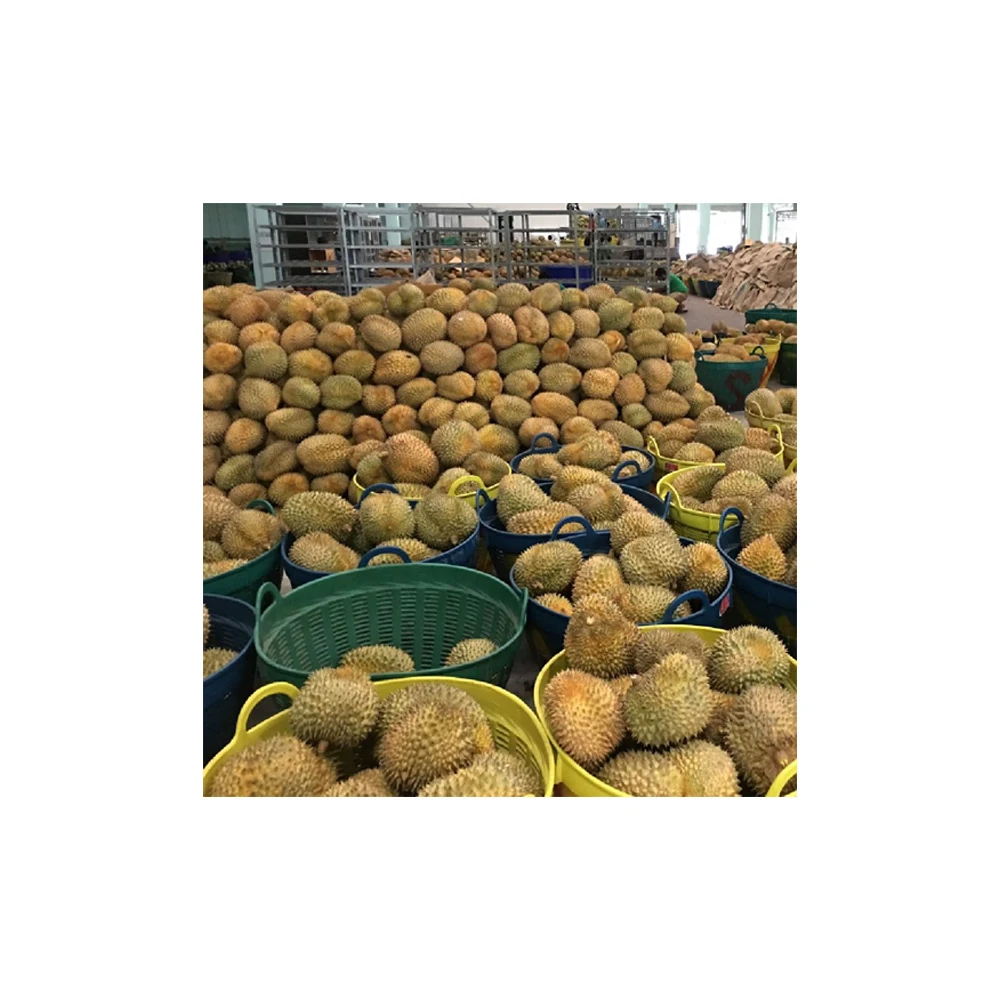Thailand Premium Fresh Durian