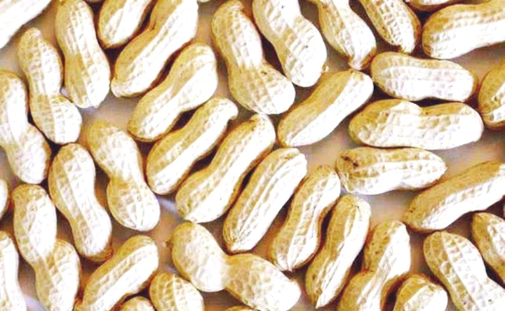 Свежий арахис