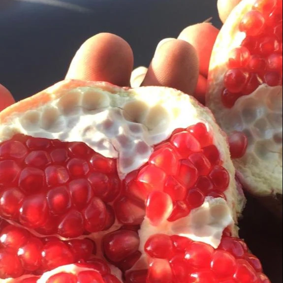 Fresh Pomegranate/ Pomegranate
